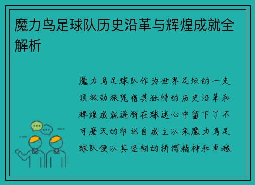 魔力鸟足球队历史沿革与辉煌成就全解析